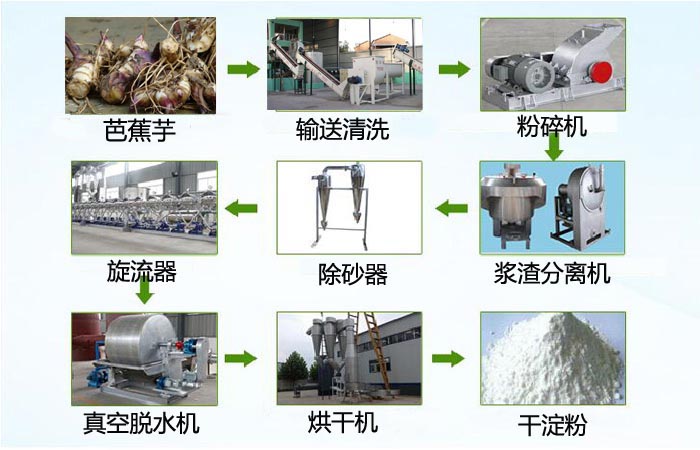 芭蕉芋淀粉加工設備